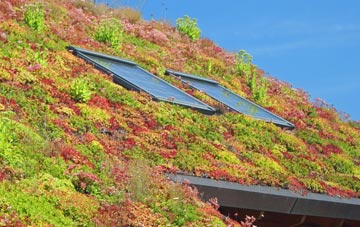 Rathsherry living roof systems