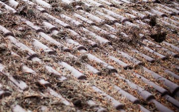 Rathsherry roof cleaning companies