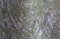 Rathsherry fibreglass roof work